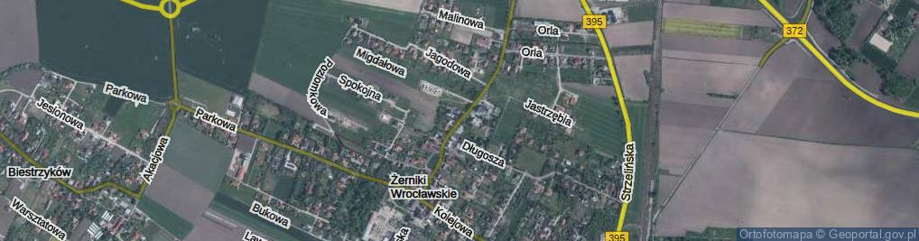 Zdjęcie satelitarne Wrocławska ul.